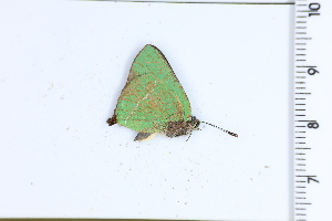  ( - DRD1579)  @11 [ ] c  Diego Dolibaina Universidade Federal do Parana