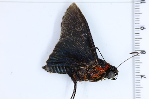  ( - DRD1875)  @11 [ ] c  Diego Dolibaina Universidade Federal do Parana