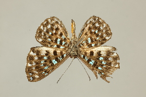  ( - DZ75.270)  @11 [ ] c (2025) Diego Dolibaina UFPR