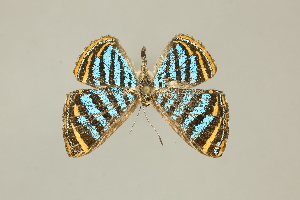  ( - DZ75.275)  @11 [ ] c (2025) Diego Dolibaina UFPR