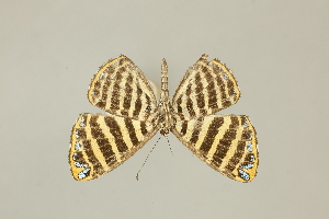  ( - DZ75.276)  @11 [ ] c (2025) Diego Dolibaina UFPR