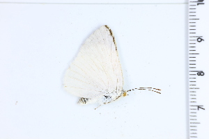  ( - DRD1899)  @11 [ ] c  Diego Dolibaina Universidade Federal do Parana