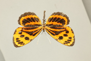  ( - DZ75.282)  @11 [ ] c (2025) Diego Dolibaina UFPR