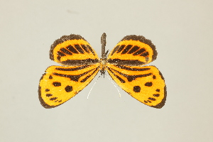  ( - DZ75.283)  @11 [ ] c (2025) Diego Dolibaina UFPR