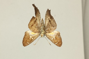  ( - DZ75.399)  @11 [ ] c (2025) Diego Dolibaina UFPR