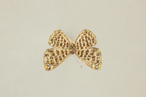  ( - DZ33.174)  @11 [ ] c (2025) Diego Dolibaina UFPR