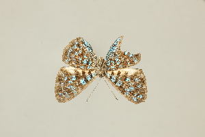  ( - DZ30.921)  @11 [ ] c (2025) Diego Dolibaina UFPR