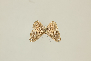  ( - DZ30.922)  @11 [ ] c (2025) Diego Dolibaina UFPR