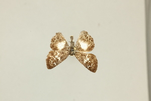  ( - DZ75.414)  @11 [ ] c (2025) Diego Dolibaina UFPR