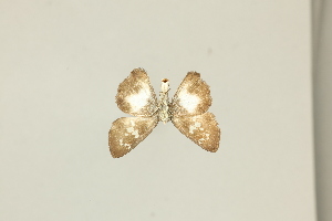  ( - DZ75.414)  @11 [ ] c (2025) Diego Dolibaina UFPR