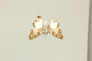  ( - DZ75.416)  @11 [ ] c (2025) Diego Dolibaina UFPR