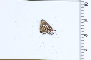  ( - DRD1663)  @11 [ ] c  Diego Dolibaina Universidade Federal do Parana