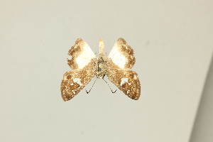  ( - DZ75.432)  @11 [ ] c (2025) Diego Dolibaina UFPR