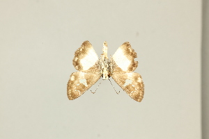  ( - DZ75.432)  @11 [ ] c (2025) Diego Dolibaina UFPR