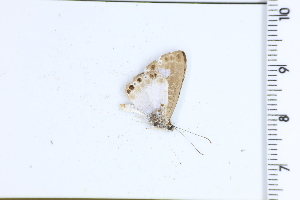  ( - DRD1689)  @11 [ ] c  Diego Dolibaina Universidade Federal do Parana