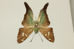  ( - DZ47.169)  @11 [ ] c (2025) Diego Dolibaina UFPR