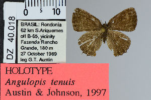  ( - DZ40.018)  @11 [ ] c (2025) UFPR UFPR