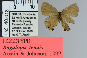  ( - DZ40.018)  @11 [ ] c (2025) UFPR UFPR