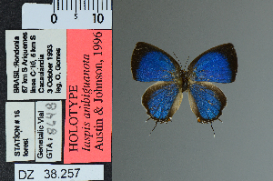  ( - DZ38.257)  @11 [ ] c (2025) UFPR UFPR