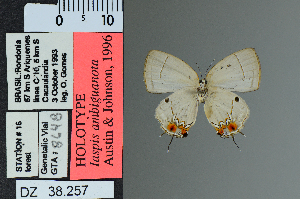  ( - DZ38.257)  @11 [ ] c (2025) UFPR UFPR