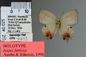  (Iaspis fumosa - DZ40.025)  @11 [ ] c (2025) UFPR UFPR