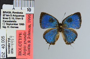  ( - DZ40.005)  @11 [ ] c (2025) UFPR UFPR