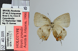  ( - DZ40.005)  @11 [ ] c (2025) UFPR UFPR