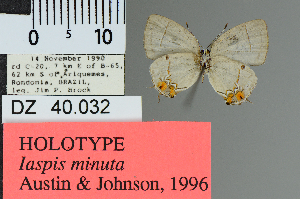  (Iaspis minuta - DZ40.032)  @11 [ ] c (2025) UFPR UFPR