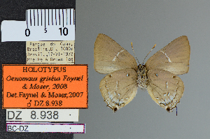  ( - DZ8.938)  @11 [ ] c (2025) UFPR UFPR