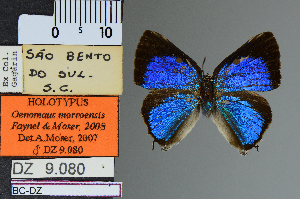  ( - DZ9.080)  @11 [ ] c (2025) UFPR UFPR