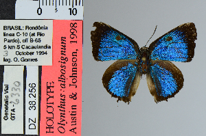  ( - DZ38.256)  @11 [ ] c (2025) UFPR UFPR