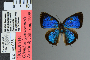  ( - DZ40.035)  @11 [ ] c (2025) UFPR UFPR