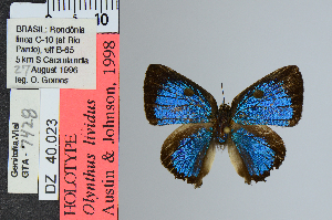  ( - DZ40.023)  @11 [ ] c (2025) UFPR UFPR