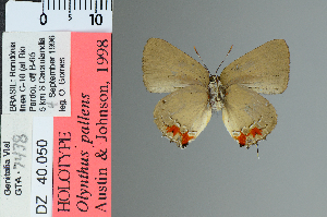  ( - DZ40.050)  @11 [ ] c (2025) UFPR UFPR