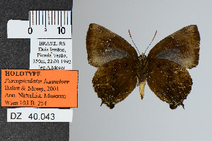  ( - DZ40.043)  @11 [ ] c (2025) UFPR UFPR