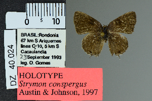  ( - DZ40.024)  @11 [ ] c (2025) UFPR UFPR