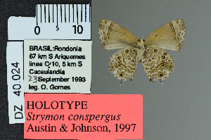  ( - DZ40.024)  @11 [ ] c (2025) UFPR UFPR