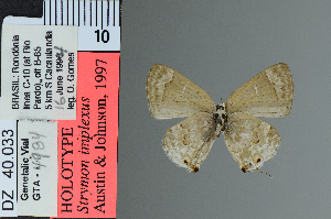  ( - DZ40.033)  @11 [ ] c (2025) UFPR UFPR