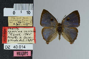  ( - DZ40.014)  @11 [ ] c (2025) UFPR UFPR