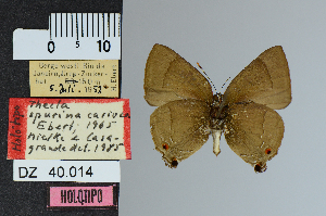  ( - DZ40.014)  @11 [ ] c (2025) UFPR UFPR