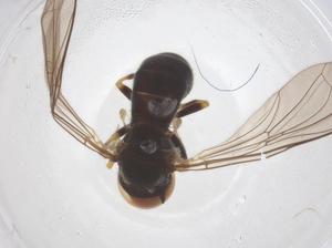  ( - BIOUG19384-B02)  @11 [ ] CreativeCommons - Attribution Share - Alike (2025) Centre for Biodiversity Genomics Centre for Biodiversity Genomics