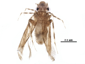  ( - BIOUG04461-B03)  @14 [ ] CreativeCommons - Attribution (2016) CBG Photography Group Centre for Biodiversity Genomics