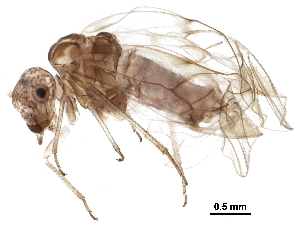  ( - BIOUG04461-D06)  @14 [ ] CreativeCommons - Attribution (2016) CBG Photography Group Centre for Biodiversity Genomics