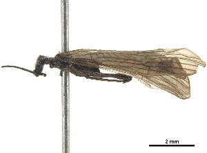  ( - BIOUG10539-D07)  @11 [ ] CreativeCommons - Attribution (2018) CBG Photography Group Centre for Biodiversity Genomics