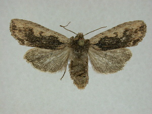  ( - 14-NCCC-275)  @13 [ ] Unspecified (default): All Rights Reserved  Unspecified Unspecified