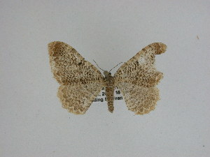  ( - 15-NCCC-058)  @12 [ ] Unspecified (default): All Rights Reserved  Unspecified Unspecified