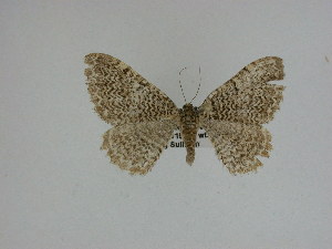  ( - 15-NCCC-059)  @12 [ ] Unspecified (default): All Rights Reserved  Unspecified Unspecified