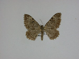  ( - 15-NCCC-060)  @12 [ ] Unspecified (default): All Rights Reserved  Unspecified Unspecified