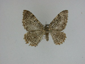  ( - 15-NCCC-061)  @12 [ ] Unspecified (default): All Rights Reserved  Unspecified Unspecified