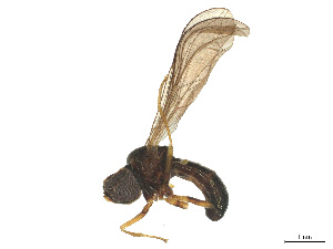  ( - BIOUG04198-E07)  @11 [ ] CreativeCommons - Attribution (2025) CBG Photography Group Centre for Biodiversity Genomics